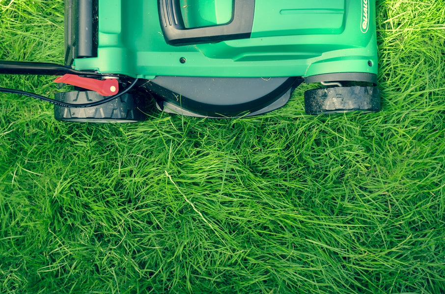Navigating Lawn Maintenance for the Most Lush and Vibrant Outdoor Spaces