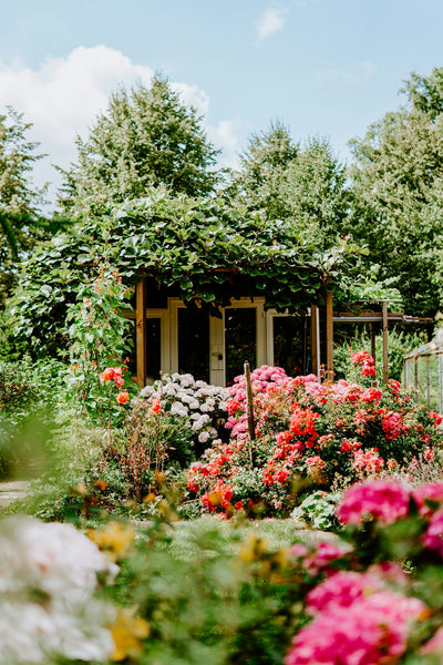 From Seed to Blossom: Cultivating a Stunning Flower Garden for Gardeners