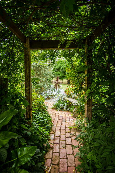 Get the Green Garden Look: Expert Tutorial on Elevating Your Home Garden Design