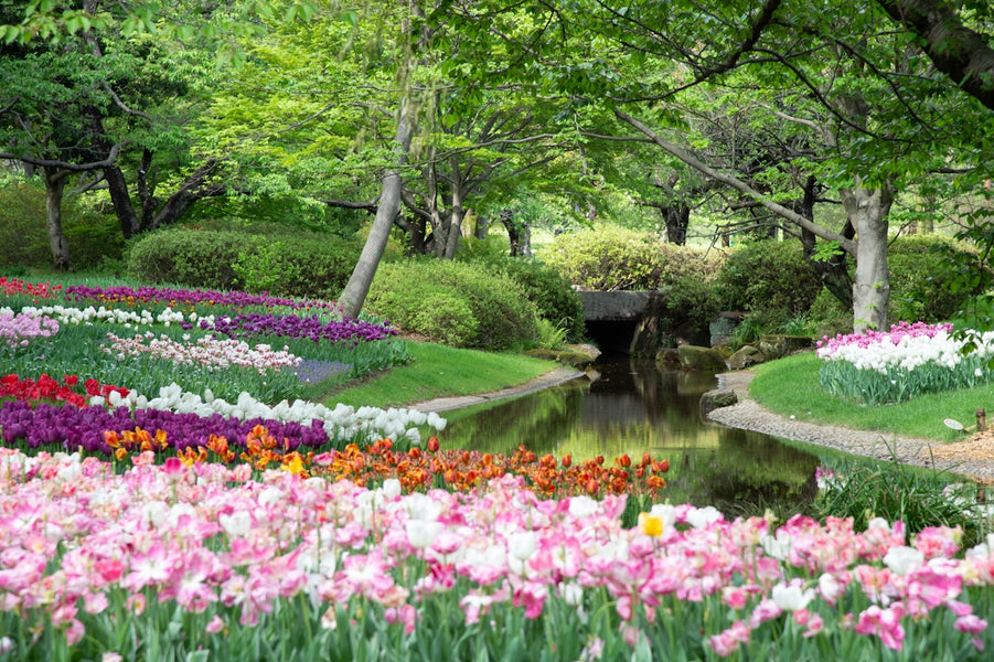 Flower Garden Dreams Realized: Designing with Passion for Horticulturists