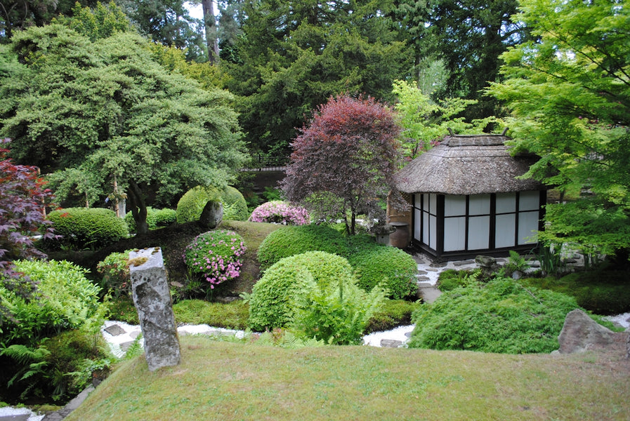 Creating an Enchanted Garde for Plant Lovers: Design Tips for Perfect Harmony