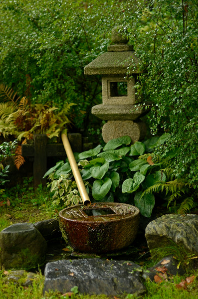 A Deep Dive into the Art of Crafting a Japanese Garden for Serenity Seekers