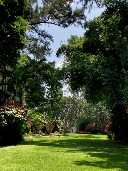 Transform Your Green Garden with These Water Garden Designs for Nature Lovers