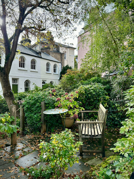 Gardener's World Guide to Innovative Garden Designs for Modern Plant Lovers