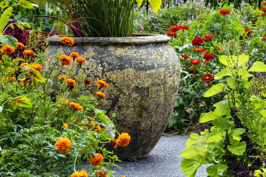 The Art of Garden Design: Transforming Your Outdoor Space into a Lush Paradise
