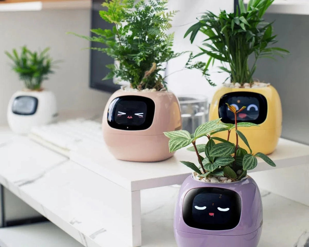Smart Digital Self-Watering Planter : The Tuya Ivy