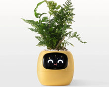 Load image into Gallery viewer, Smart Digital Self-Watering Planter : The Tuya Ivy
